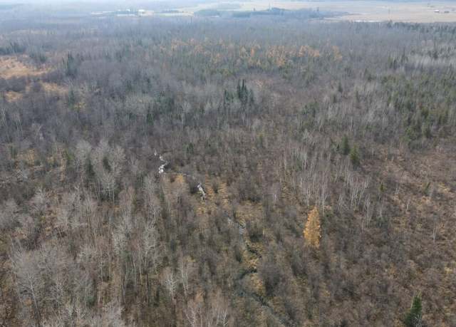 Property at 6932 E Houghton Lake Rd, Merritt, MI 49667