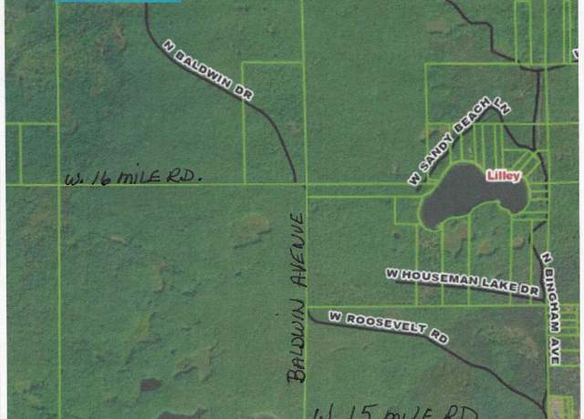 Property at 13460 Baldwin Dr, Bitely, MI 49309