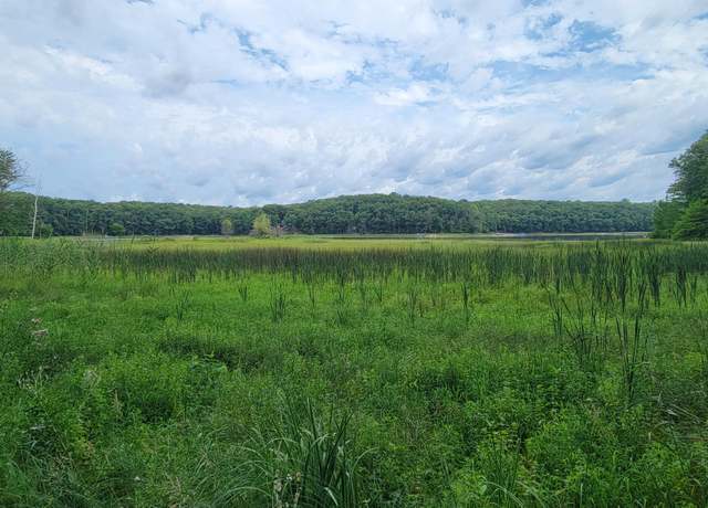 Property at VL Trail of The Lks, Baldwin, MI 49304