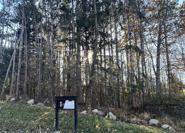 Property at 6825 Morrison Hls Ct, Dexter, MI 48130