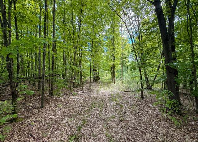 Property at V/L S Deer Lake Rd, Reed City, MI 49677