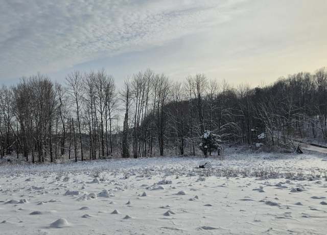 Property at V/L Arthur Rd, Rothbury, MI 49452