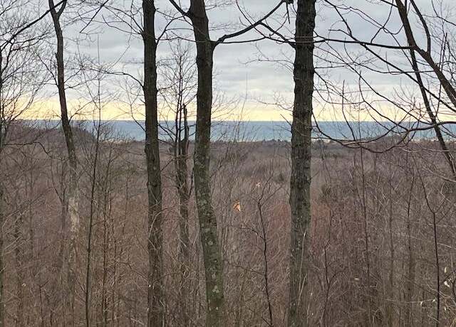 Property at Silver Vis Lot 2, Mears, MI 49436