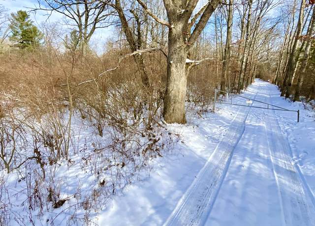 Property at 4456 N Evergreen Dr, White Cloud, MI 49349