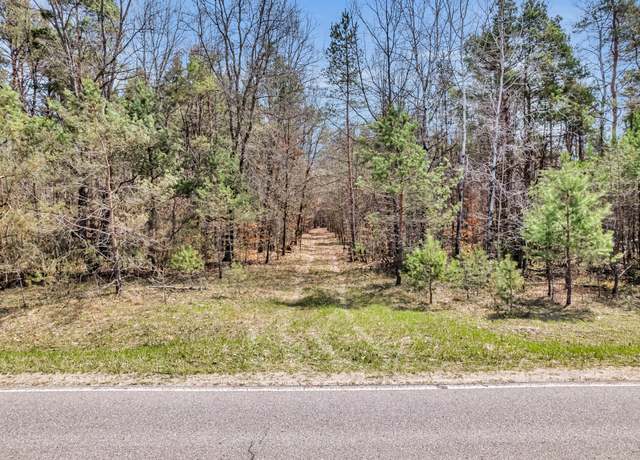 Property at 12330 N Dickinson Ave, Bitely, MI 49309