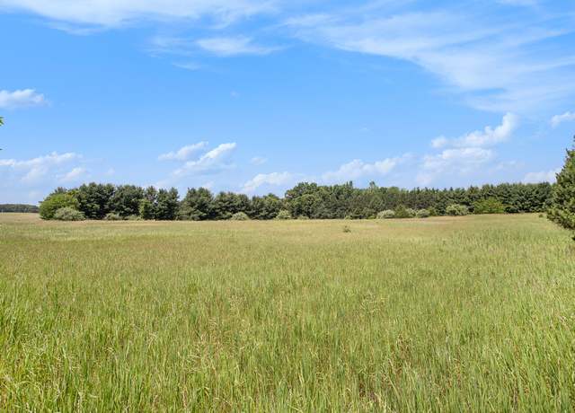 Property at M-66, Mendon, MI 49072