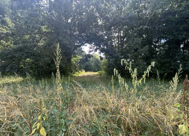 Property at 0 V/L M-66, Athens, MI 49011
