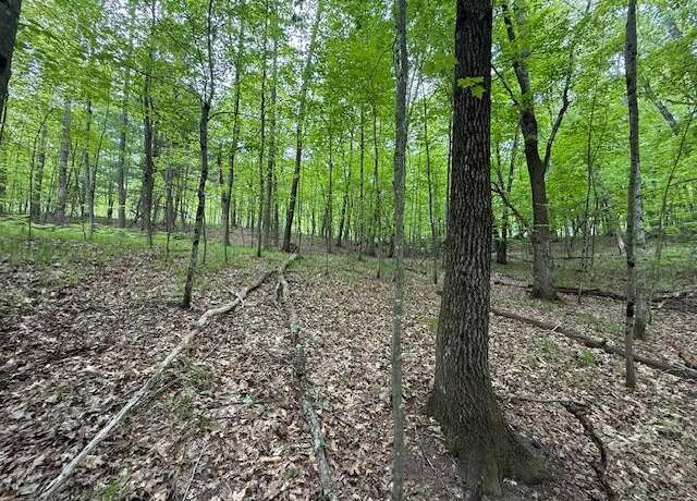 Property at VL W Timber Trl, Baldwin, MI 49304