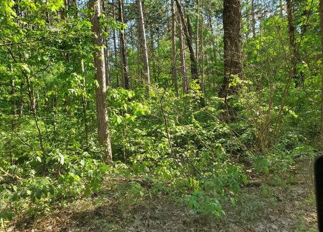 Property at 433 N Astor Road Rd, Baldwin, MI 49304