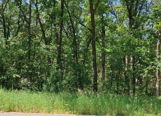 Property at V/L Staple Rd, Twin Lake, MI 49457