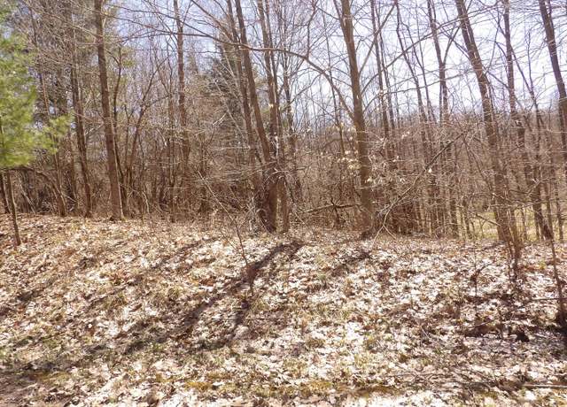 Property at 23042 Miramichi Dr, Evart, MI 49631