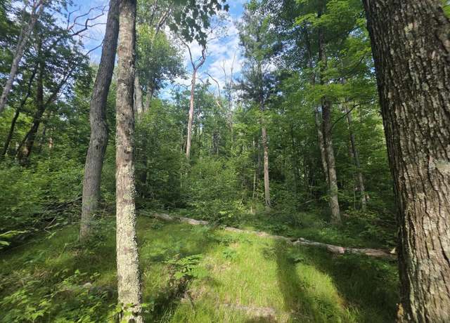 Property at Michland Path, White Cloud, MI 49349