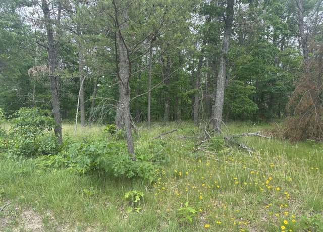 Property at 2250 S Stanberry, Baldwin, MI 49304