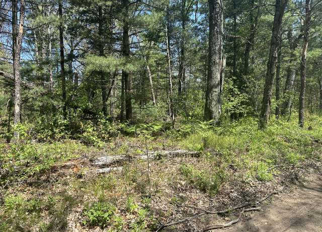 Property at 00 W Bishop, Idlewild, MI 49642