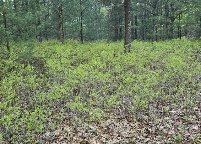 Property at BK 8 Pentwater Blvd, Pentwater, MI 49449