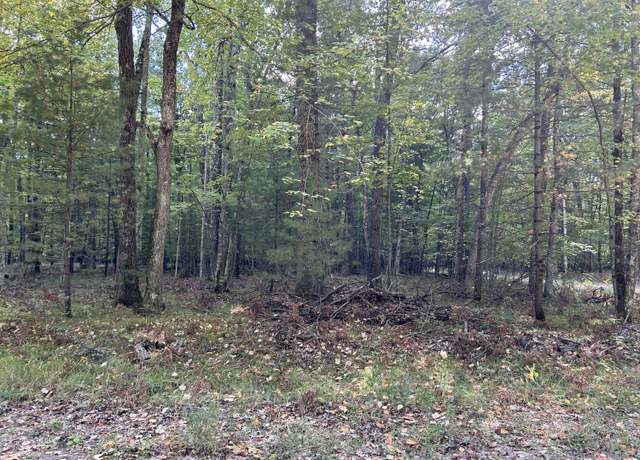 Property at V/L Trail Of The Lks, Baldwin, MI 49304