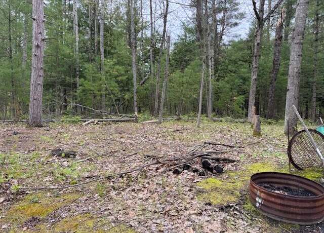Property at 0 N 21 Rd, Mesick, MI 49668