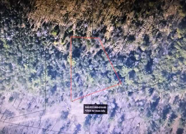 Property at Parcel B Turtle Rd, Whittemore, MI 48770