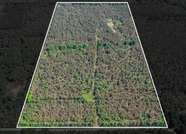 Property at V/L N Webb Rd, Hessel, MI 49745