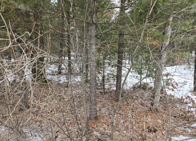 Property at Celestial Dr, Idlewild, MI 49642