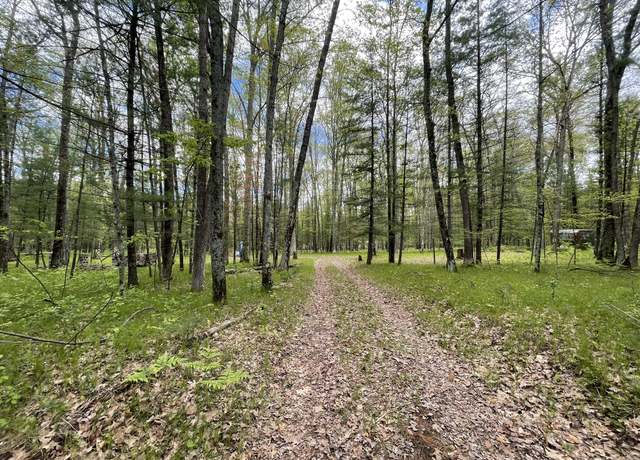 Property at 6098 W 9 Mile Rd Rd, Irons, MI 49644