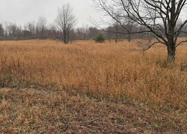 Property at Tannerville, Kaleva, MI 49645