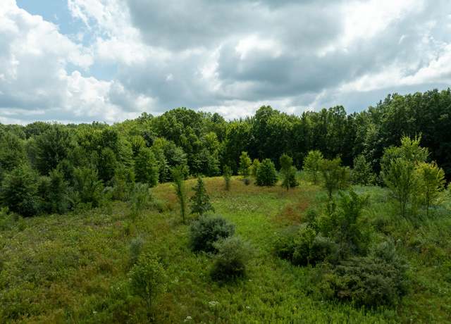 Property at 7375 Meisner Rd, East China, MI 48054