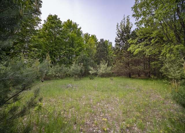 Property at Covey Rd, Beulah, MI 49617