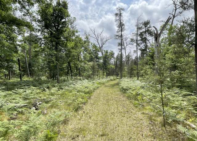 Property at 00 E 10 Mile Rd Unit Parcel A, Irons, MI 49644