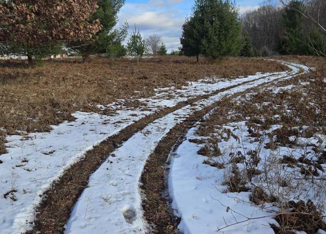 Property at Lot 895 Lake Miramichi Dr, Evart, MI 49631