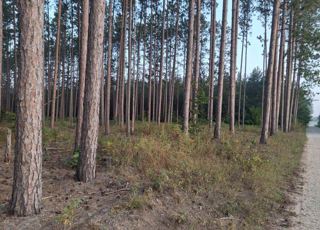 Property at Northern Dr, Hersey, MI 49639