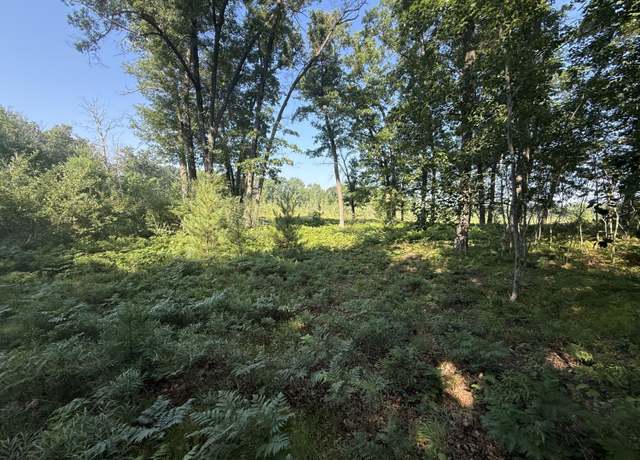 Property at TBD W Royal Rd #2, Stanwood, MI 49346