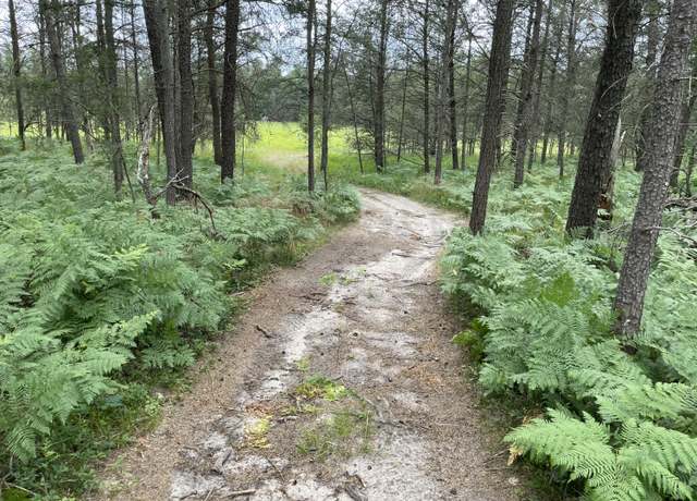 Property at 00 E 10 Mile Rd Unit Parcel B, Irons, MI 49644