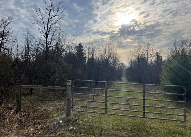 Property at 11500 N Willow Ave, Bitely, MI 49309