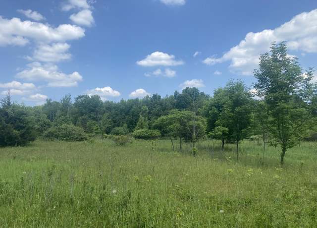 Property at V/L 102nd Ave, Grand Junction, MI 49056