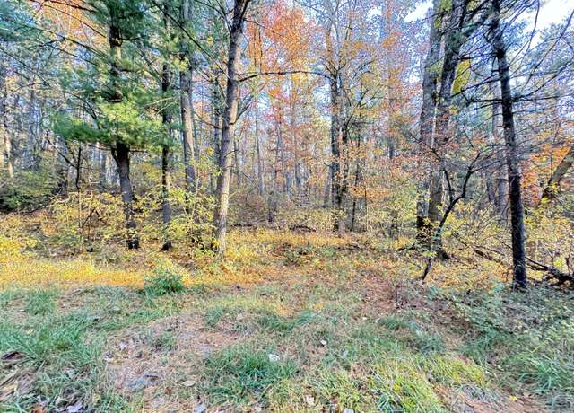 Property at 7.32AC E 58th St, Newaygo, MI 49337