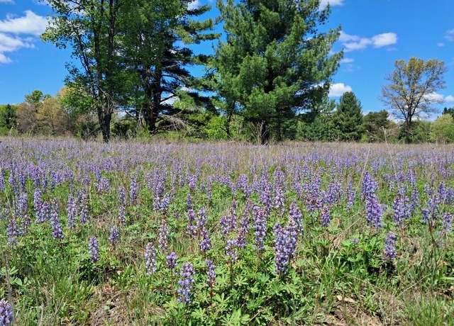 Property at 12.86AC Barberry Ave, Newaygo, MI 49337