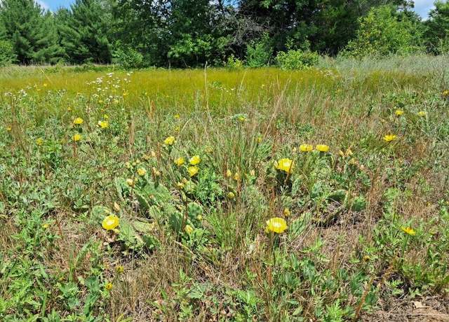 Property at 10.05ac Barberry Ave, Newaygo, MI 49337