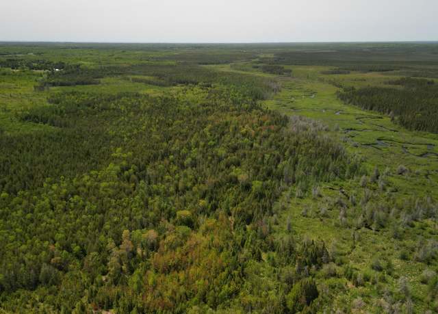 Property at 609absec19t43nr13ws1/2ofse1/4, Gulliver, MI 49840