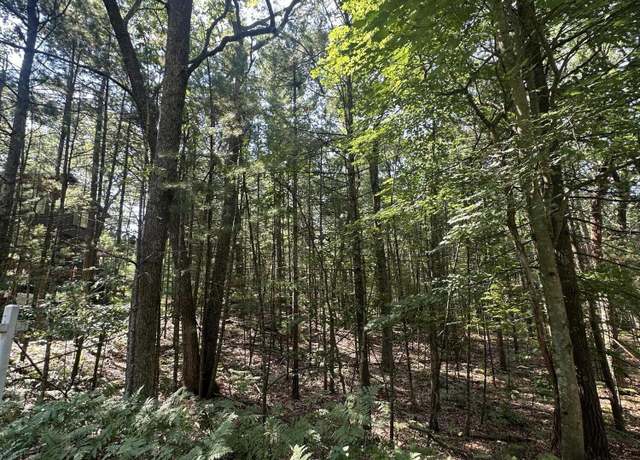 Property at Crow Ln #105, Pentwater, MI 49449