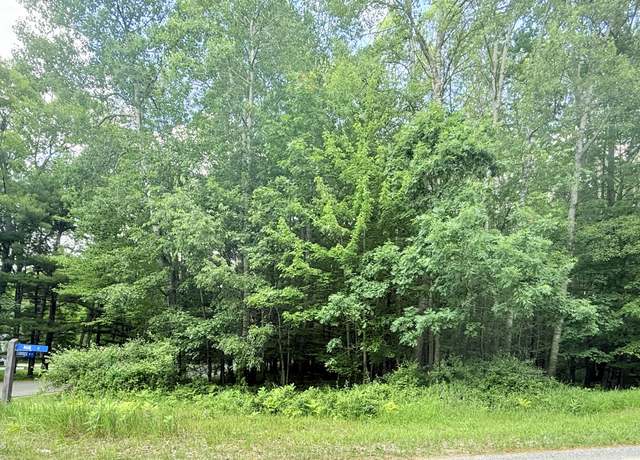 Property at 9760 Main St, Stanwood, MI 49346