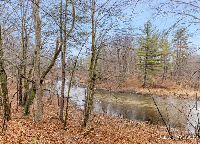 Property at 16351 Black Lake Cv, Gowen, MI 49326