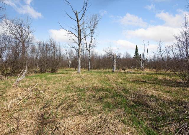 Property at 0 Potter Rd, Bear Lake, MI 49614