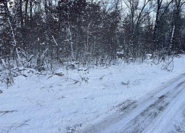 Property at 2533 W Ann St, Baldwin, MI 49304