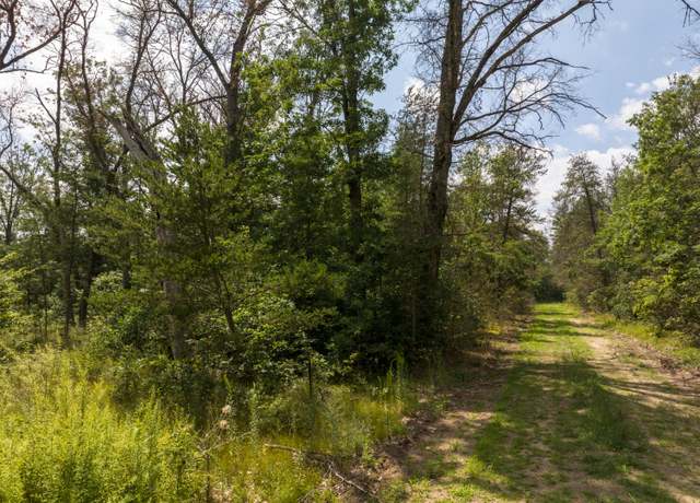 Property at Lots 8-14 St Louis, Idlewild, MI 49642