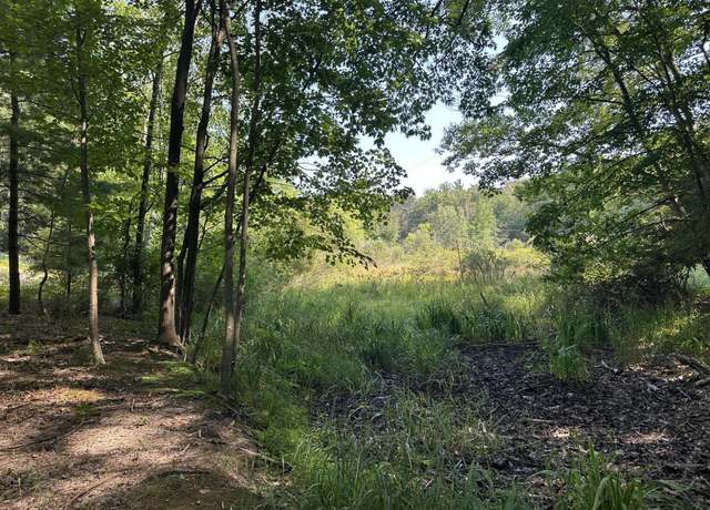Property at 0 Fruitvale Rd, Montague, MI 49437