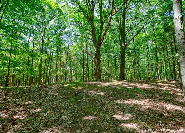 Property at 0 Stonebridge Trl #2, Fennville, MI 49408