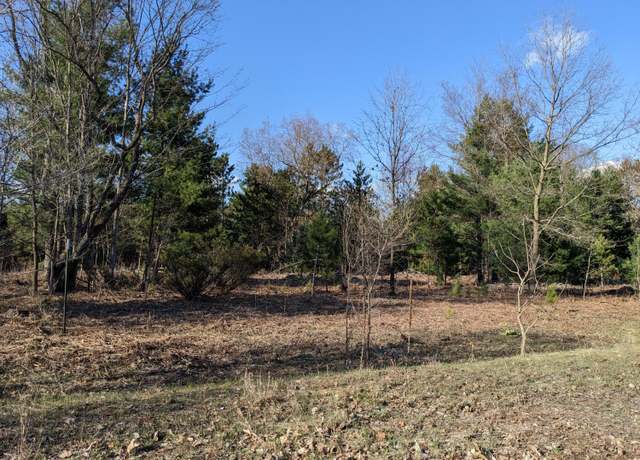 Property at Jussi St, Kaleva, MI 49645