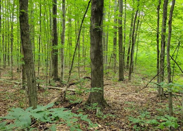 Property at 264 Plum Valley Rd NE, Mancelona, MI 49659