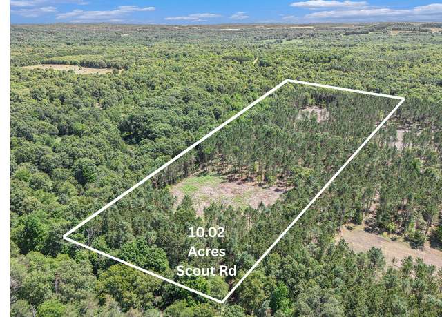 Property at 10.02 W Scout Rd, Mears, MI 49436